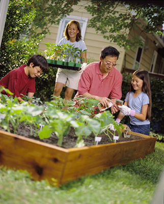 Family Gardening